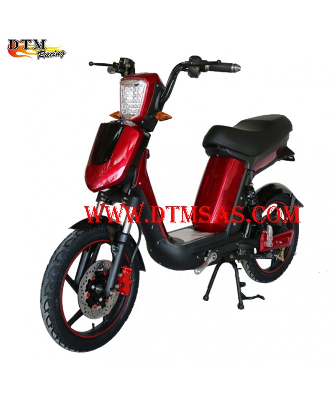Bici elettrica, bici elettrica dtm, bici elettrica pedalata assistita,bicicletta  elettrica,bici elettrica 250w,