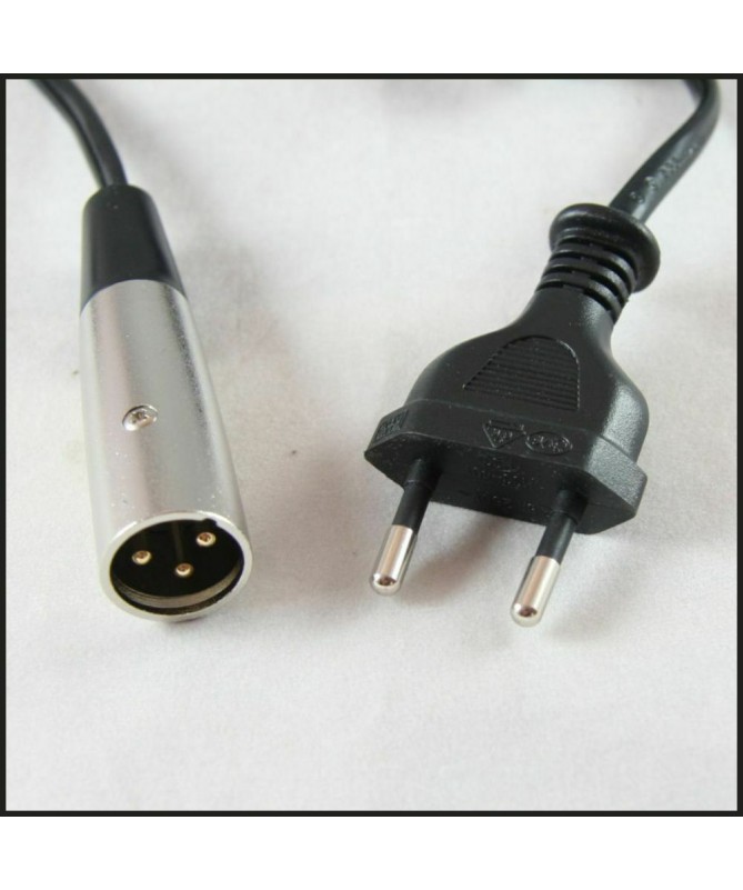 Caricabatterie Per Bici Elettrica E Monopattino Elettrico – Ingresso 220V – Uscita 36V – 1.5A?
